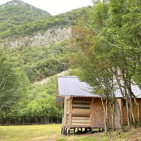 Te Baca Shkodër